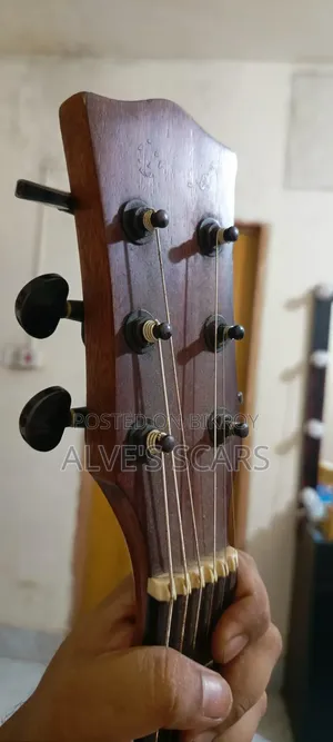 Chard Guiter Model 4040