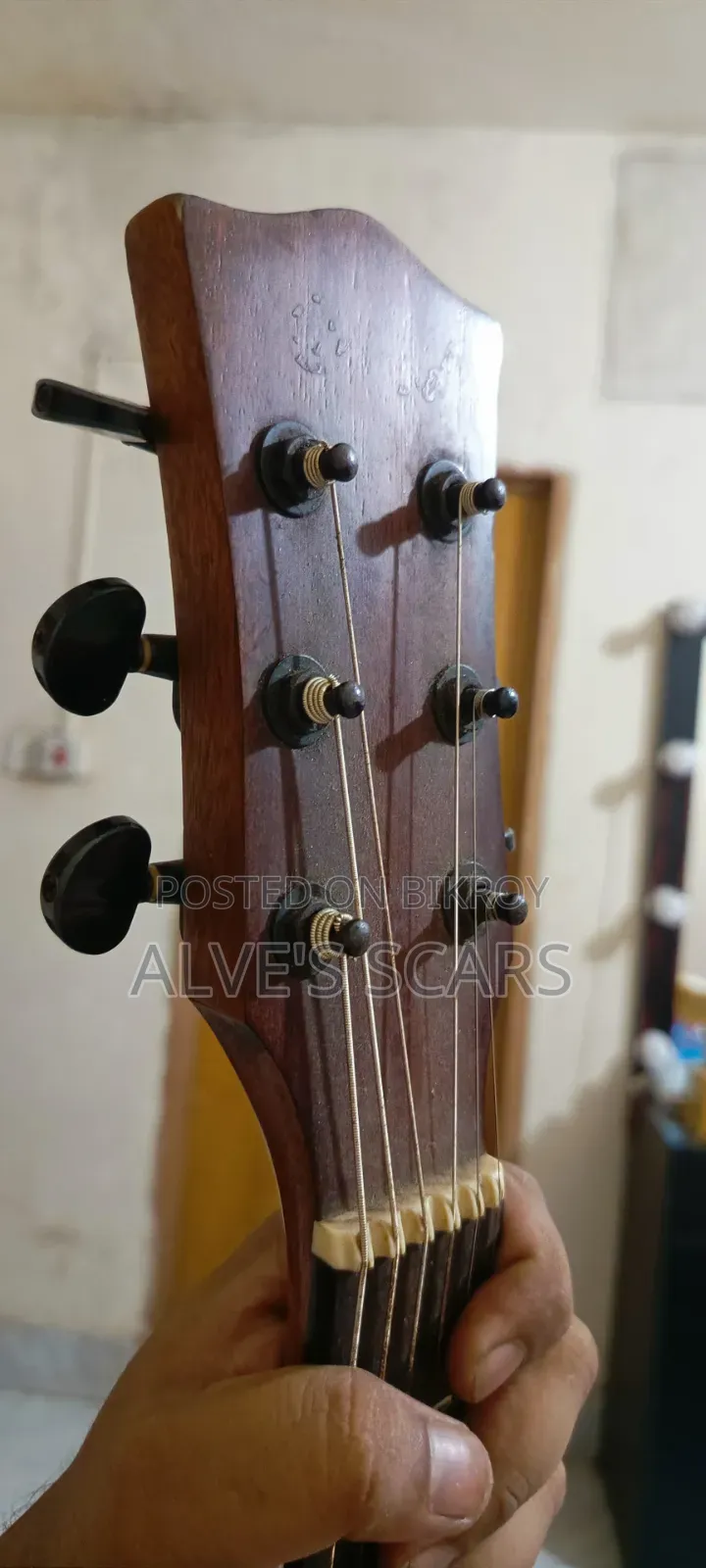Chard Guiter Model 4040