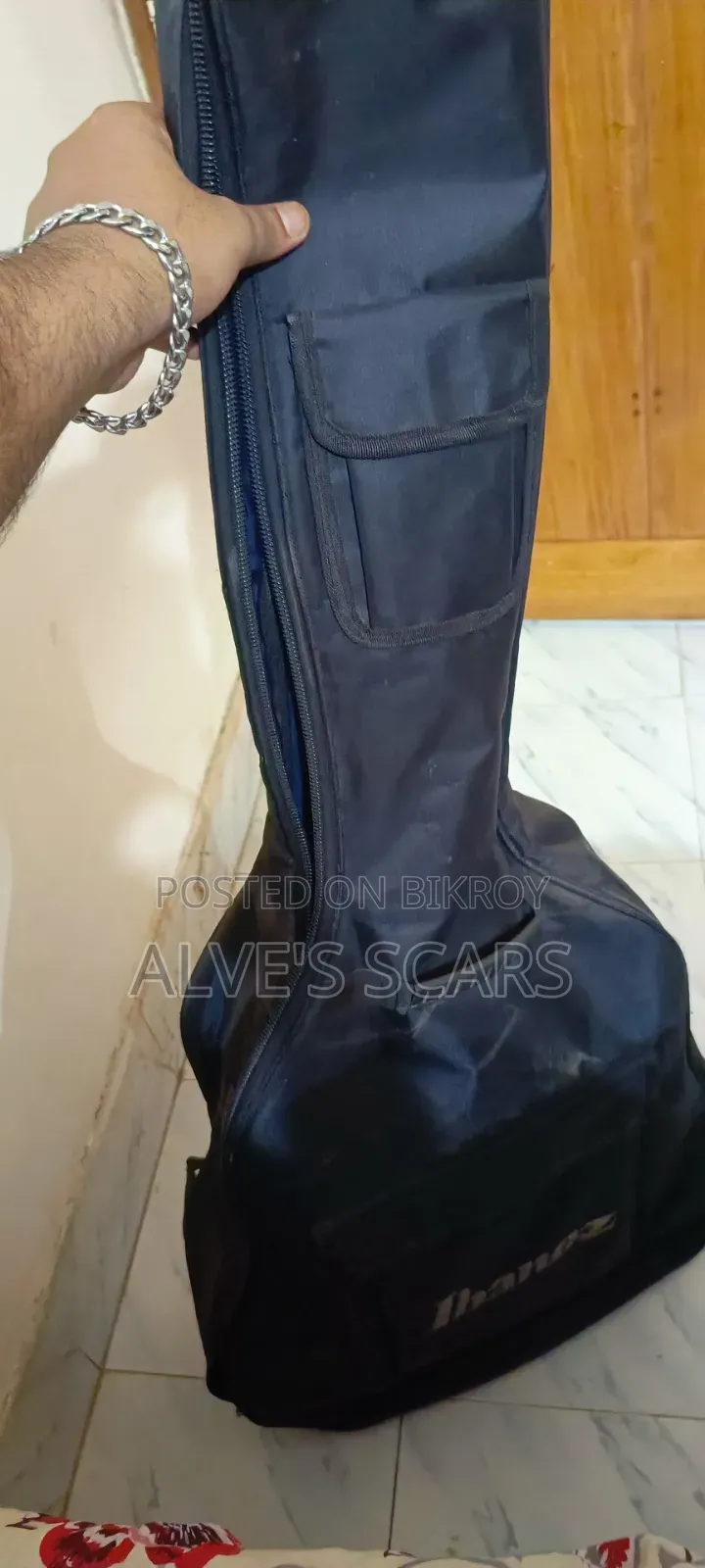 Chard Guiter Model 4040