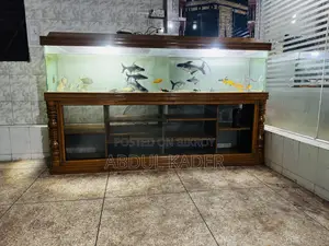 Largest Aquarium With All Equipment