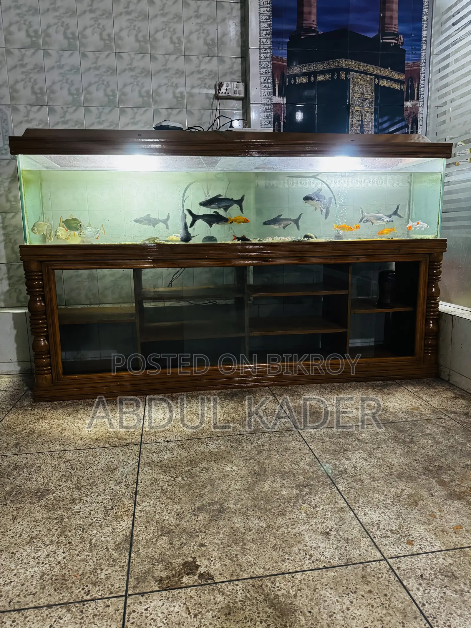 Largest Aquarium With All Equipment