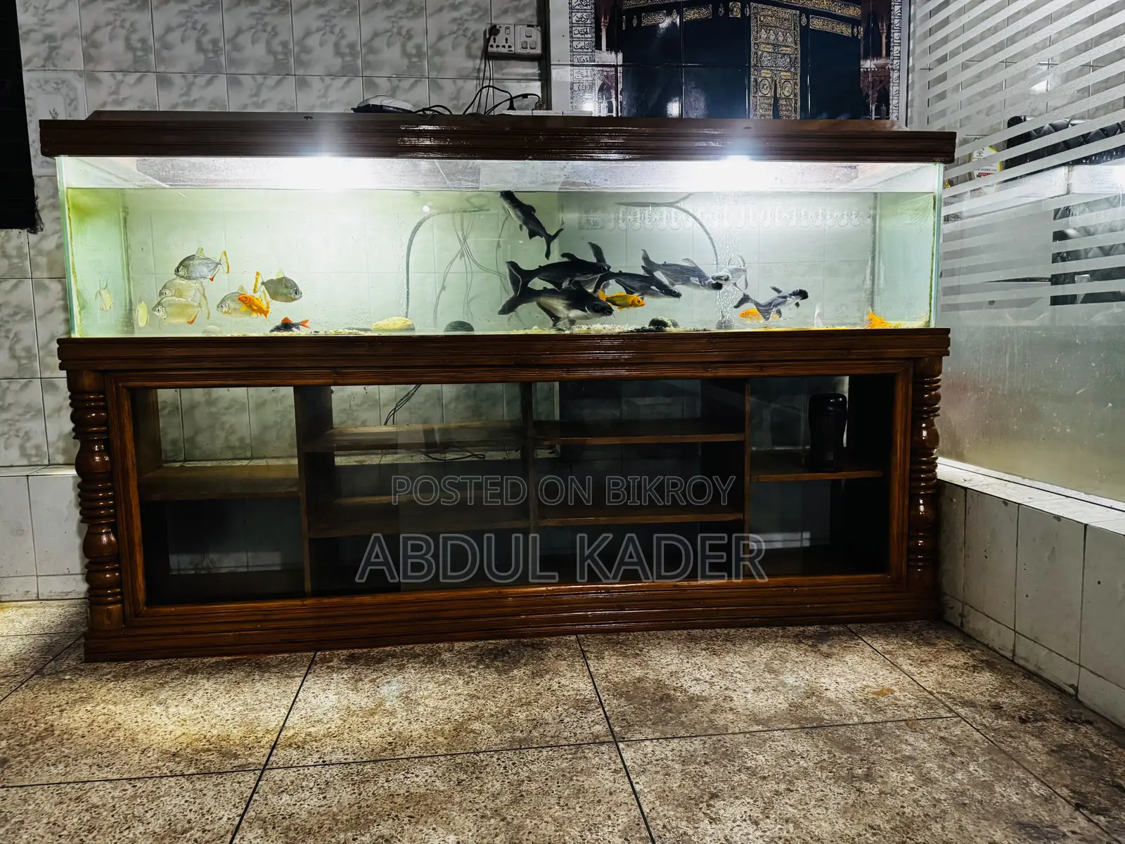 Largest Aquarium With All Equipment