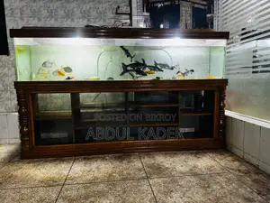 Largest Aquarium With All Equipment
