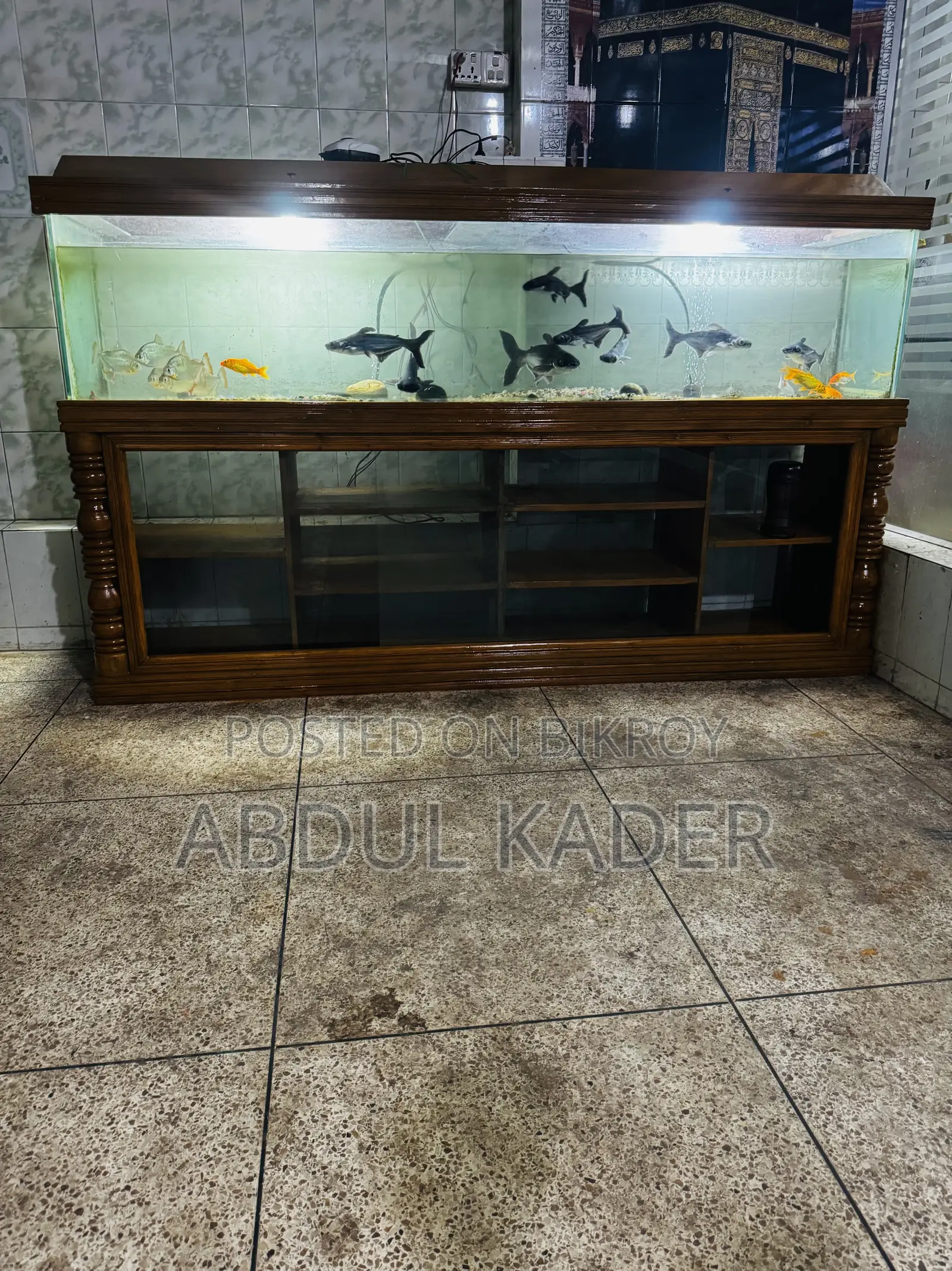 Largest Aquarium With All Equipment