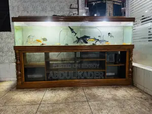 Largest Aquarium With All Equipment