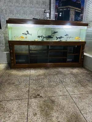 Largest Aquarium With All Equipment