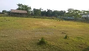 Best Ready Plot