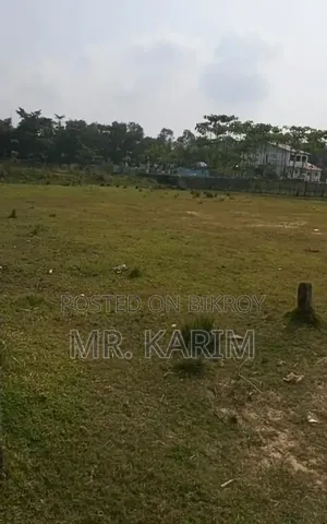 Best Ready Plot