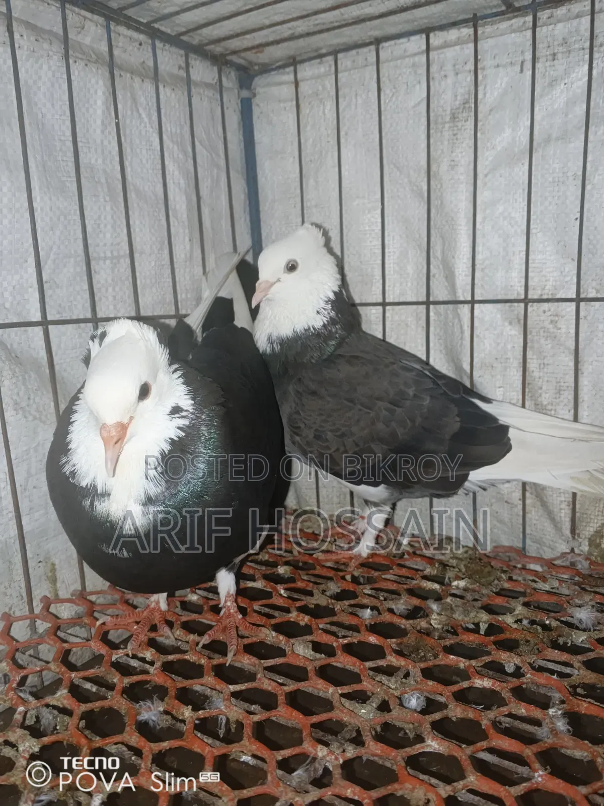 This pair will be exchanged