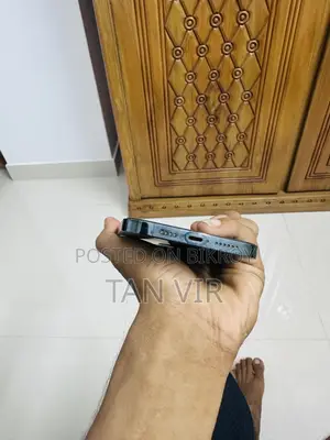 নতুন অ্যাপল আইফোন ১২ প্রো ম্যাক্স ২৫৬ জিবি নীল