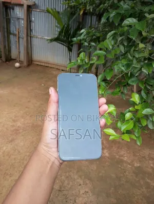 অ্যাপল আইফোন ১২ প্রো ম্যাক্স ২৫৬ জিবি কালো