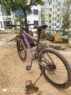 Phoenix Cycle
