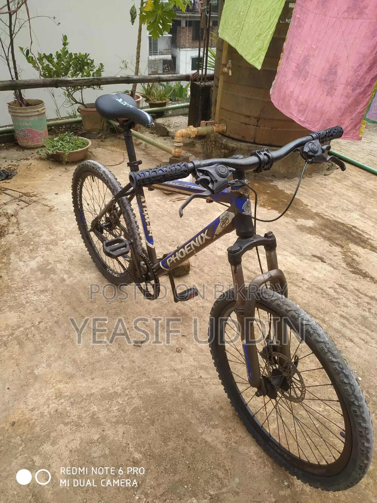 Phoenix Cycle