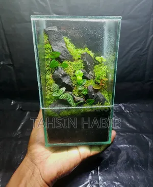 Terrarium