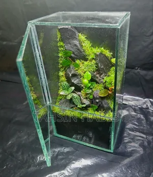 Terrarium