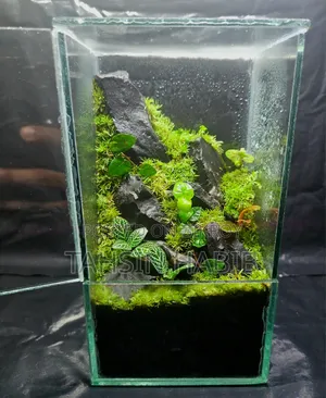 Terrarium