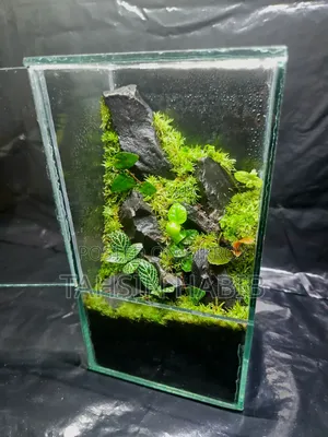Terrarium