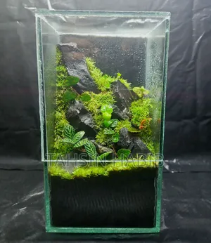 Terrarium