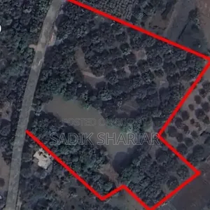 Mango orchard for sale.
