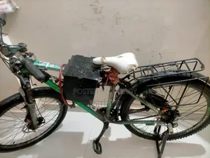 Electric Bicycle