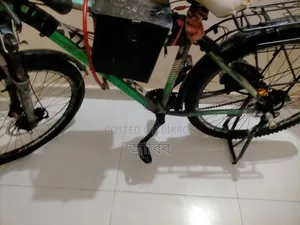Electric Bicycle