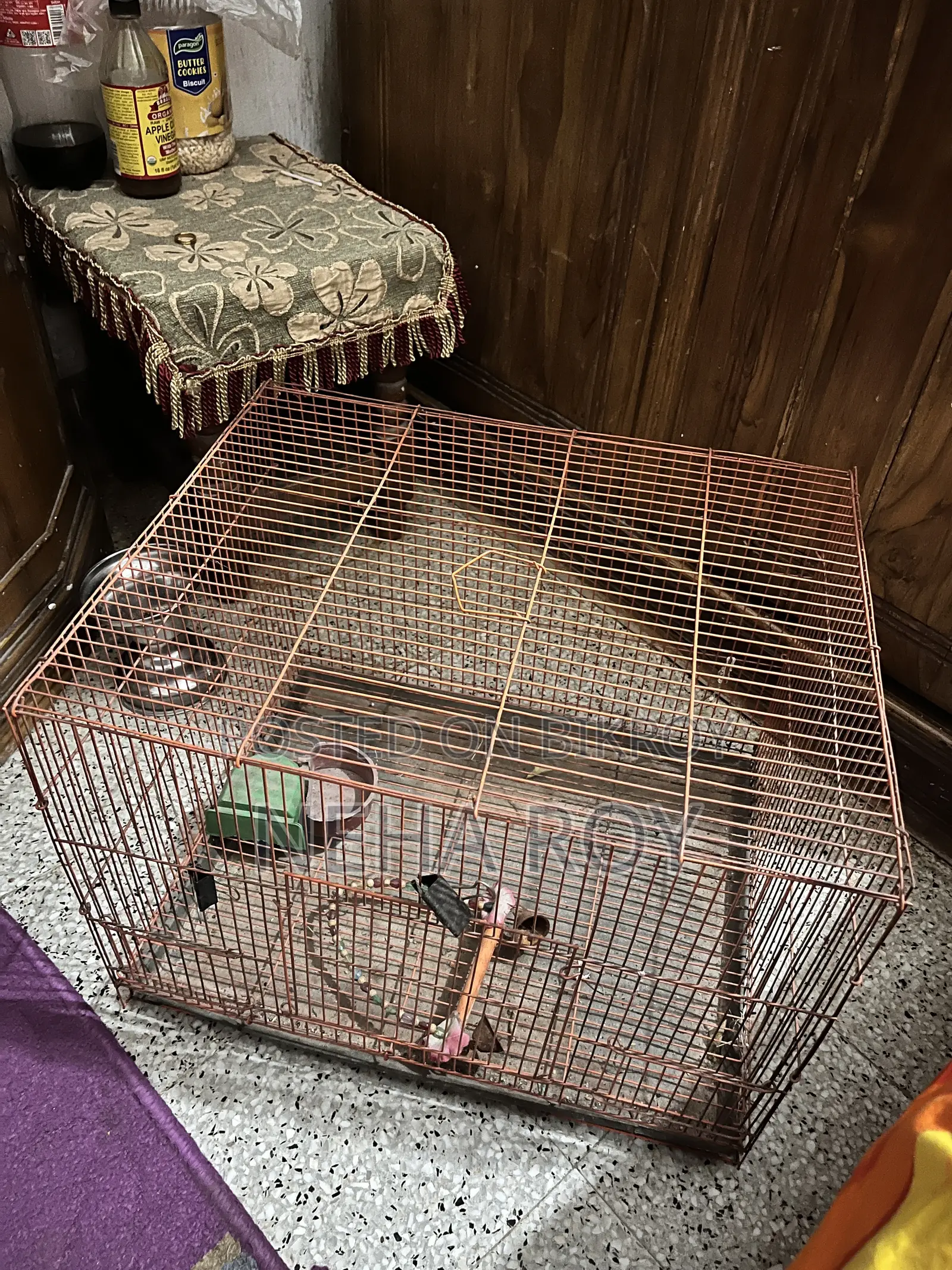 A Bird Cage