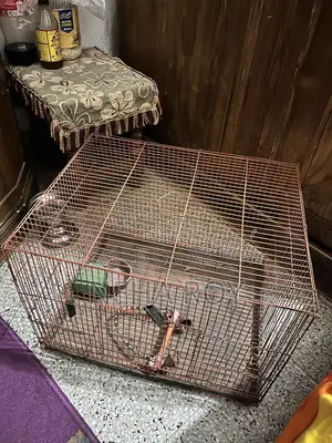 A Bird Cage