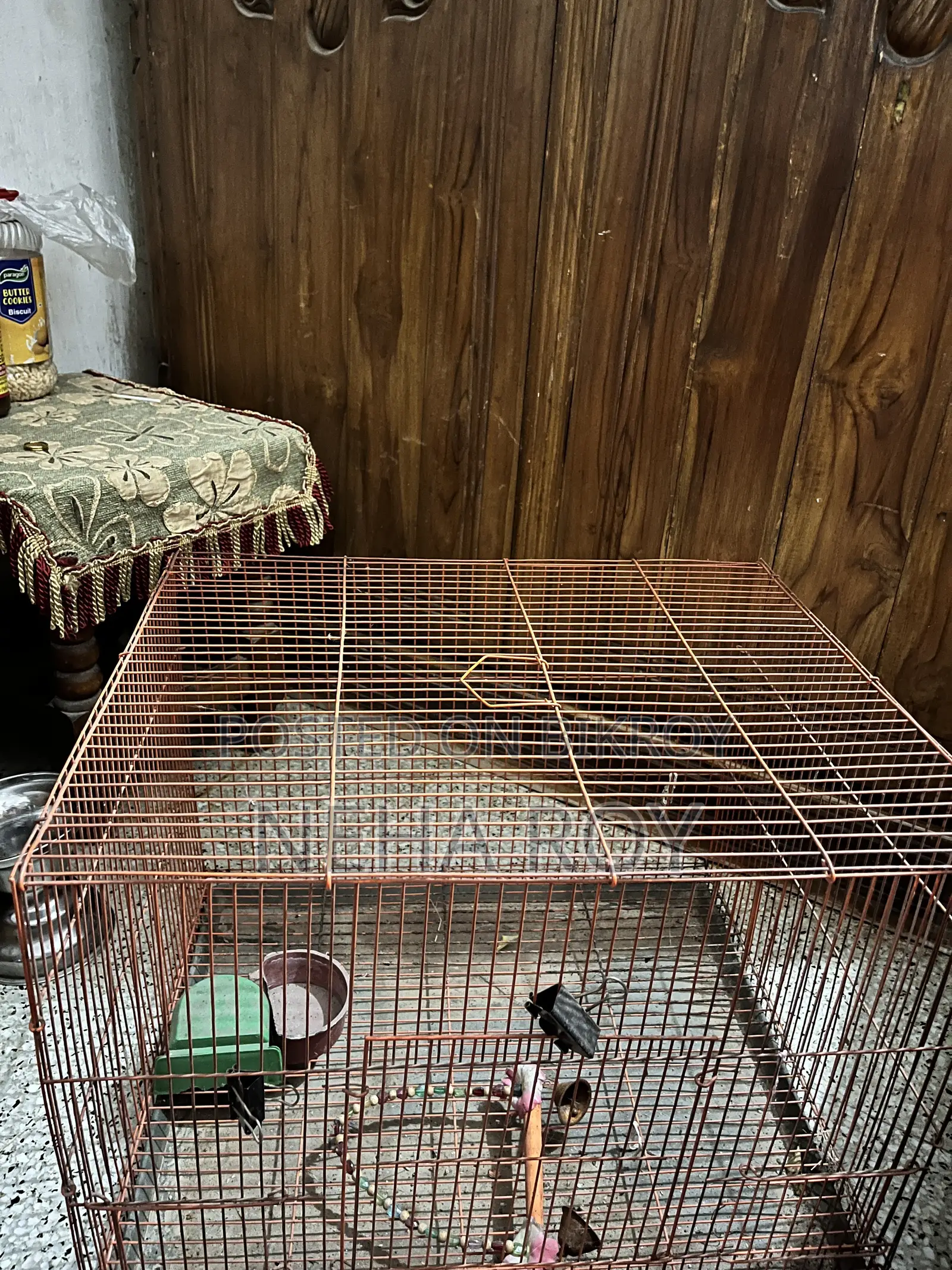 A Bird Cage