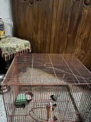 A Bird Cage