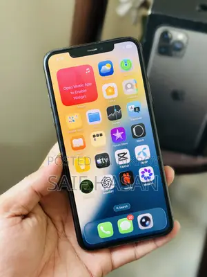 Apple iPhone 11 Pro Max 256 GB Gray