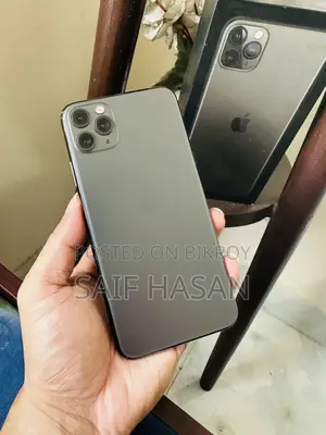 Apple iPhone 11 Pro Max 256 GB Gray