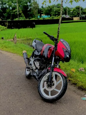 Bajaj Pulsar 150 2012 Red
