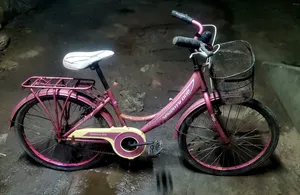 24 Size Ladies Cycle Fresh & Running
