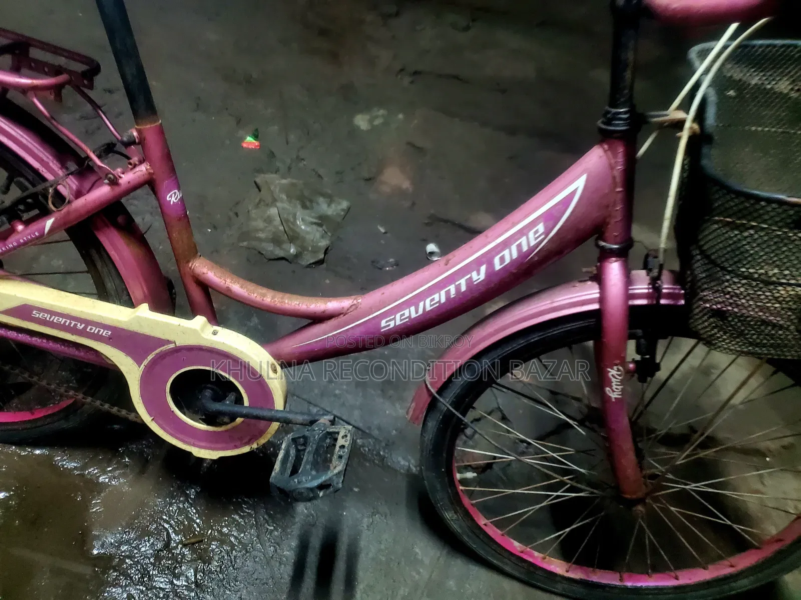 24 Size Ladies Cycle Fresh & Running