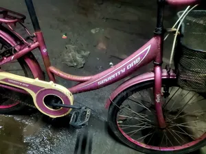 24 Size Ladies Cycle Fresh & Running