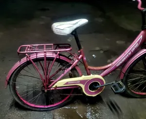 24 Size Ladies Cycle Fresh & Running