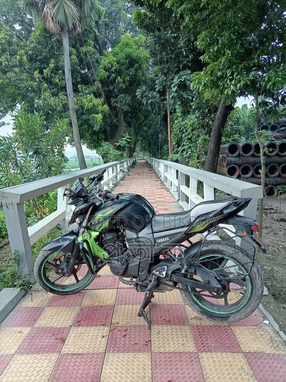 Yamaha FZ 2012 Green