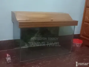এ কু ডিয়াম