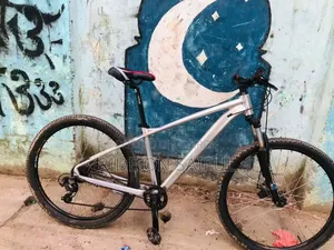 Scoot Custom Built Bicycle For Sale
