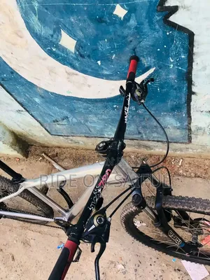 Scoot Custom Built Bicycle For Sale