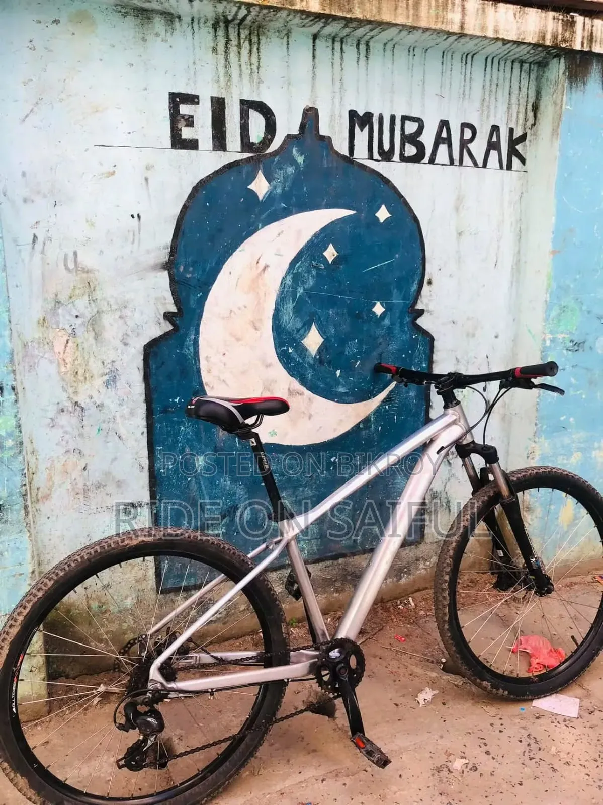 Scoot Custom Built Bicycle For Sale