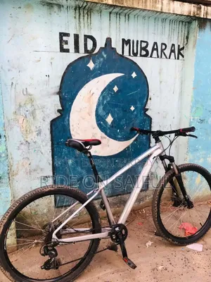 Scoot Custom Built Bicycle For Sale