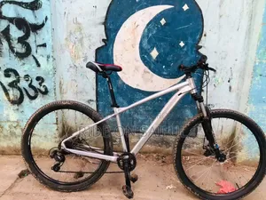 Scoot Custom Built Bicycle For Sale