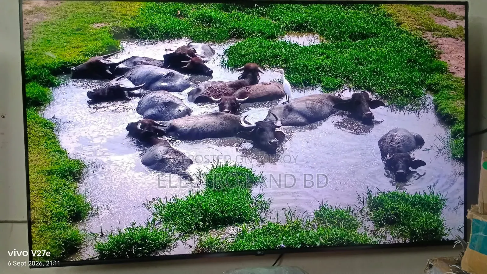 LG 43" Nano Cell Smart TV