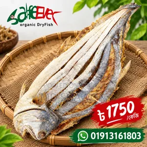 Our location Mirpur 1 Shah Ali College Shopping Complex shop number A 46