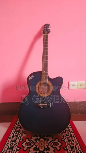 সিগনেচার গিটার
