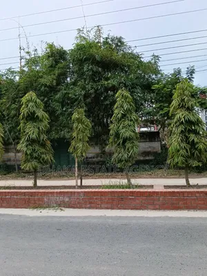 Block-M, South Face 3 Katha Plot Sale