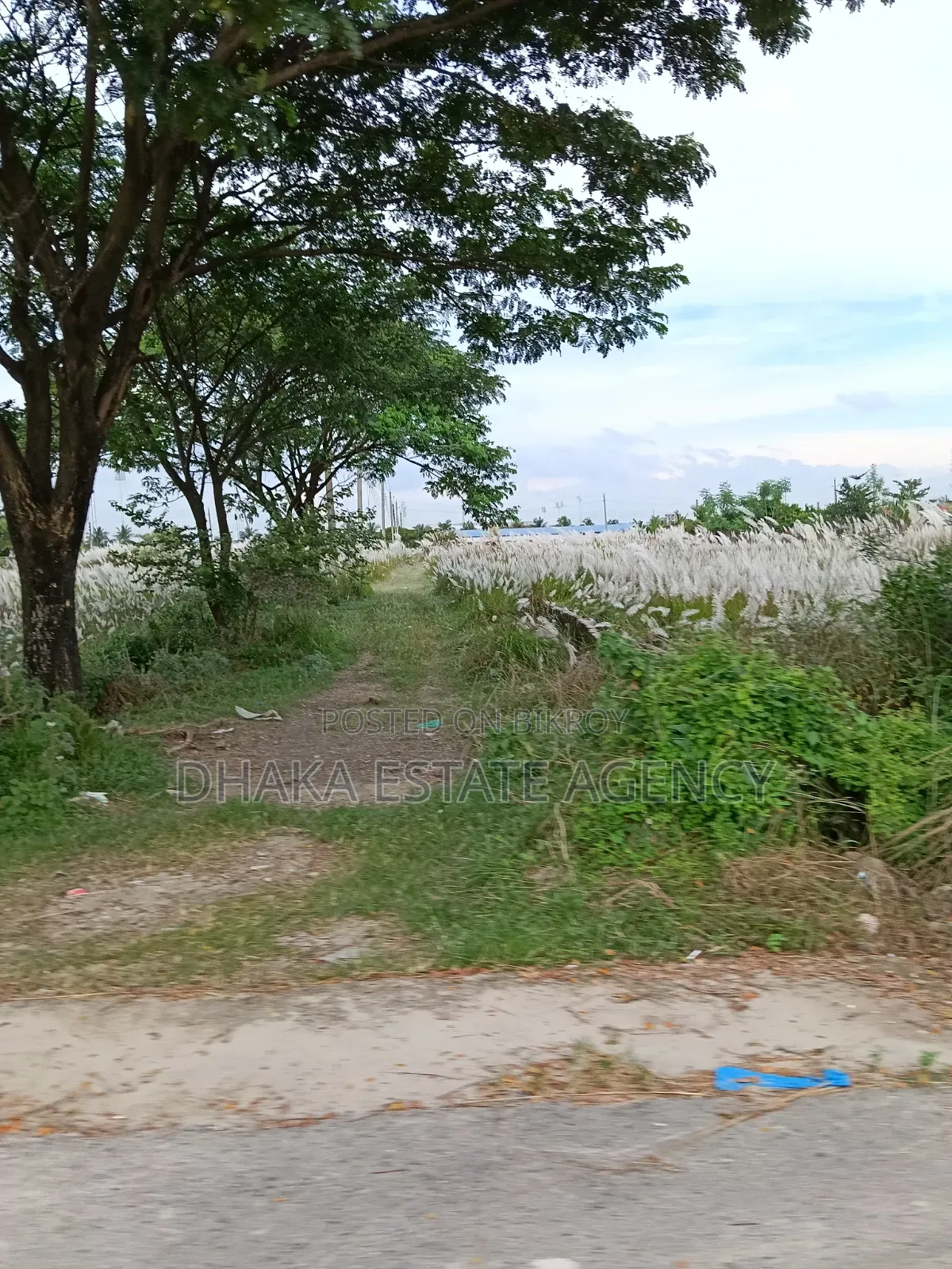 Block-L, South Face 3 Katha Plot Sale
