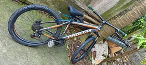 Phoenix Bicycle