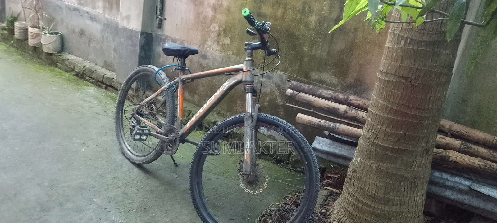 Phoenix Bicycle